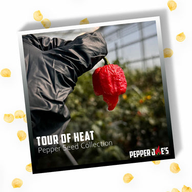 Tour of Heat Super Hot Seed Collection
